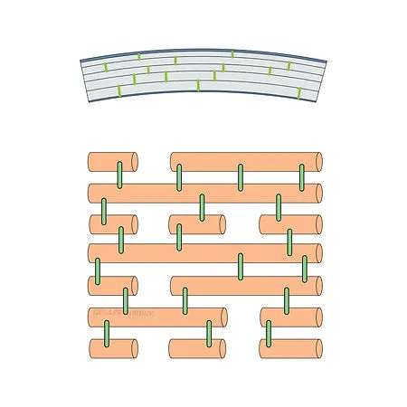 Hornhaut nach dem Crosslinking