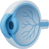 Inspektion – Untersuchung des Auges