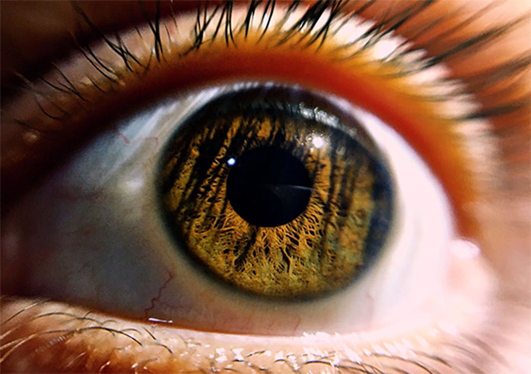 Nahaufnahme eines menschlichen Auges mit sichtbarer Iris, Pupille und Hornhaut